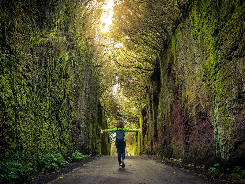 Natural setting. спрей корейский жироочиститель. Sns порошок. Kyoto garden london. Sns порошок.