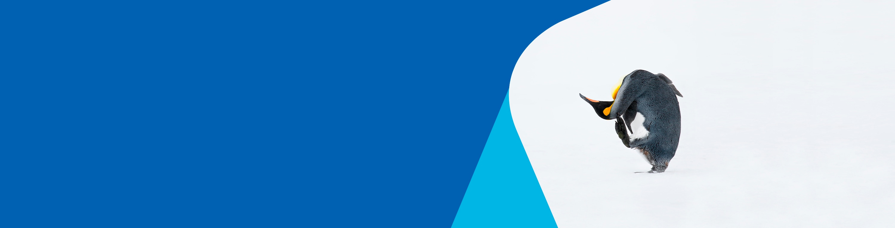 Nieuwe Flex Tarief | Air Europa Nederland
