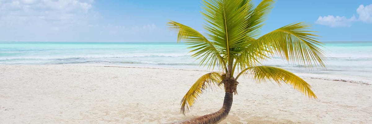 Cerca l'offerta migliore per Santo Domingo (SDQ)