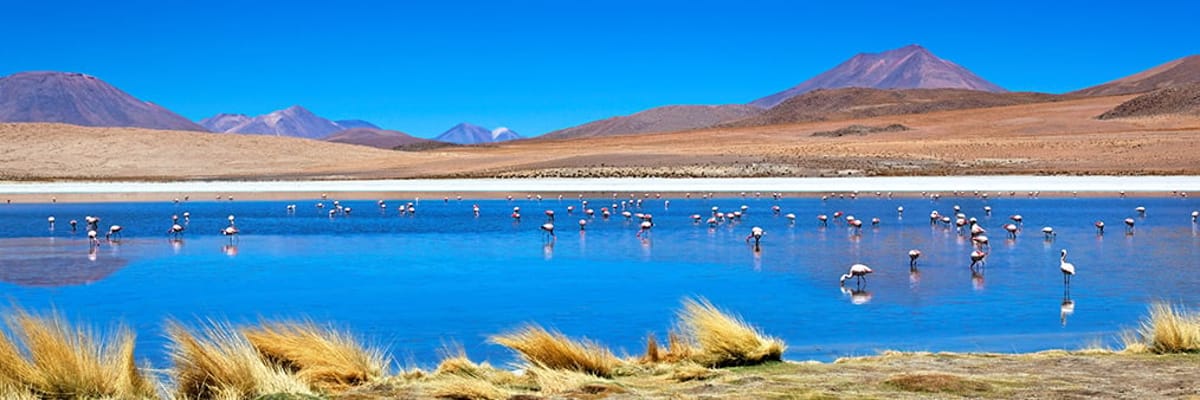 Passagens de Bilbau a Bolivia de
