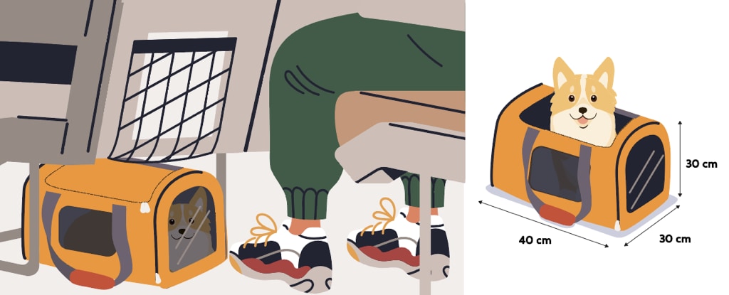 Imagen Microsoft Teams Transportín naranja con perro dentro, bajo asiento avión; medidas: 40 cm x 30 cm.